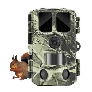 Wild Bird Watching Camera HD WiFi Solar Auto Night Vision Species Recognition Garden Mount