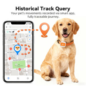 Mini IP67 Waterproof 4G GPS Pet Tracker – Smart Anti-Lost Dog Tracking Device with Real-Time Positioning, Health Monitoring & iOS/Android App Support