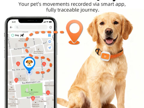 Mini IP67 Waterproof 4G GPS Pet Tracker – Smart Anti-Lost Dog Tracking Device with Real-Time Positioning, Health Monitoring & iOS/Android App Support