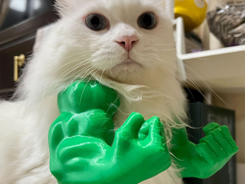 3D Printed Waterproof Pet Costume Accessories – Custom Funny Pet Props, Decorative Necklaces, Muscle Arms & Holiday Dress-Up Accessories for Dogs and Cats