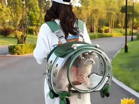 Outdoor Pet Trolley Case & Backpack with 4 Wheels – Transparent Hard Shell Space Capsule Pet Carrier for Small Dogs and Cats