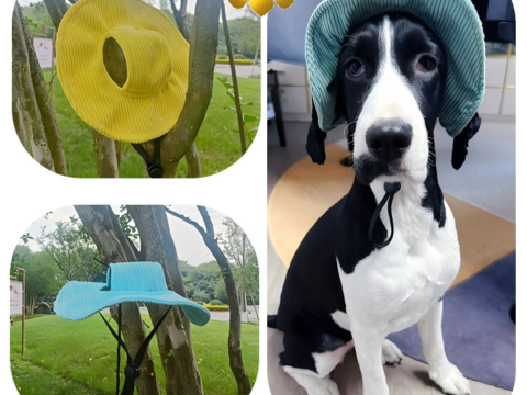 INS-Style Fashionable Pet Bucket Hat with Ear Holes – Sun Protection Camping Cap for Dogs and Cats