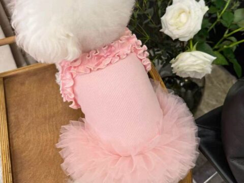 Wholesale Summer Lightweight Dog & Cat Tutu Skirt Dress – OEM & ODM Pet Apparel Manufacturer
