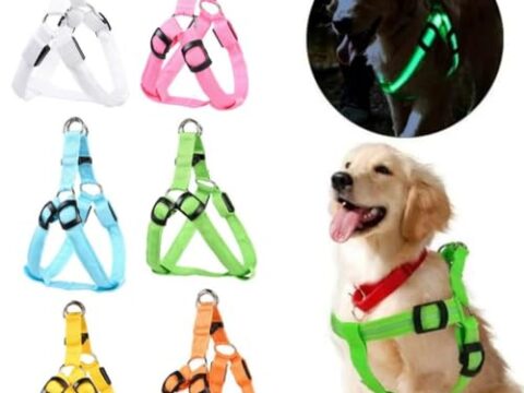 Wholesale Premium Adjustable LED Dog Harness: USB Rechargeable & Breathable Mesh