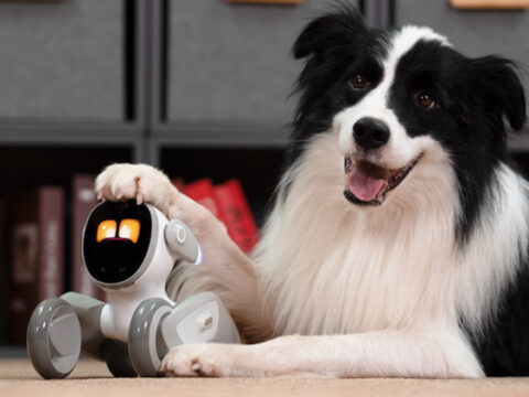 Premium Intelligent Educational Robot Dog: AI-Powered STEM Companion & Interactive Programming Platform