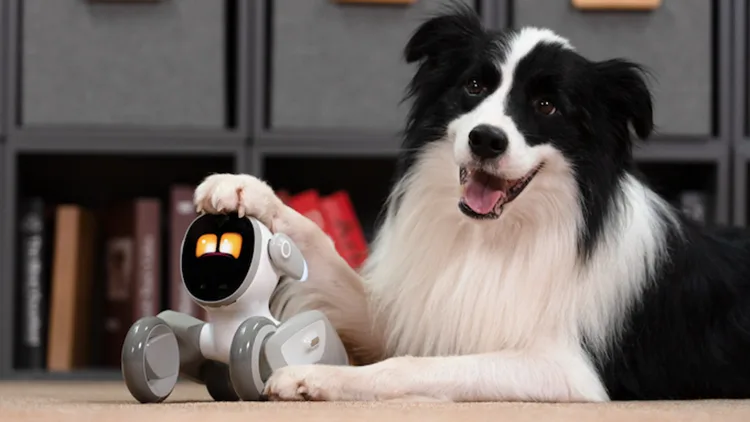Premium Intelligent Educational Robot Dog: AI-Powered STEM Companion & Interactive Programming Platform
