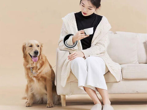 2.5M Luxury Fashion Retractable Hands-Free Pet Leash for Small & Medium Dogs and Cats