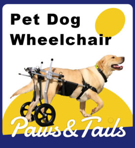 B2B Wholesale: Premium Adjustable Pet Wheelchair for Canine and Feline Hind Leg Rehabilitation