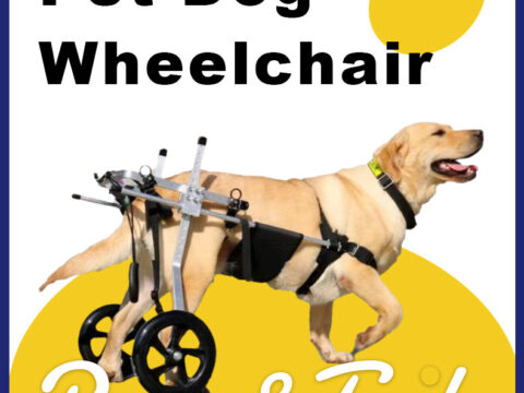 B2B Wholesale: Premium Adjustable Pet Wheelchair for Canine and Feline Hind Leg Rehabilitation