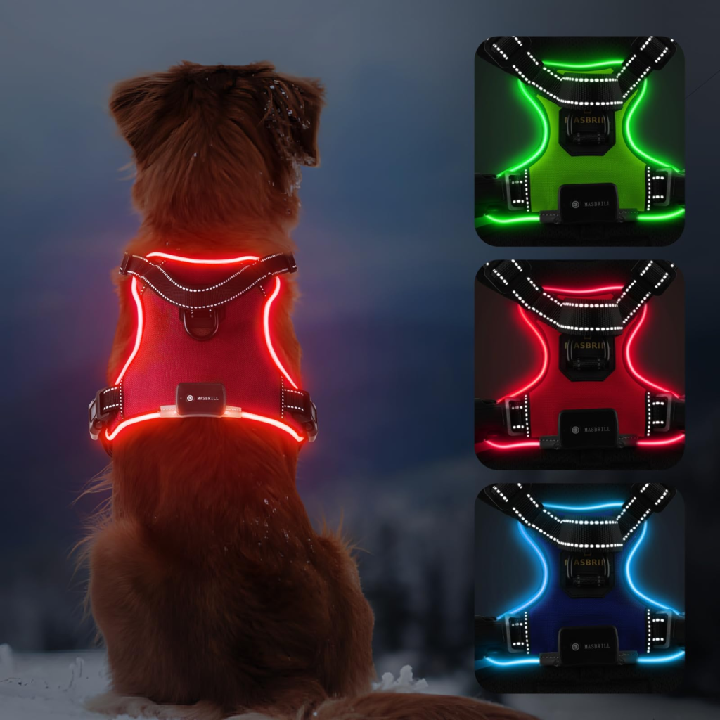 Premium LED Luminous Extendable Pet Vest & Safety Harness | High-Visibility Chest Strap