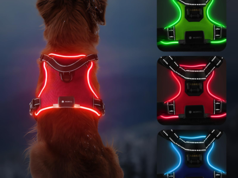 Premium LED Luminous Extendable Pet Vest & Safety Harness | High-Visibility Chest Strap