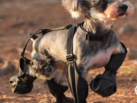 Hot-Selling PU Pet Dog Shoes Anti-Dirt Anti-Slip Waterproof Durable Warm Reflective Dog Boots for All Seasons
