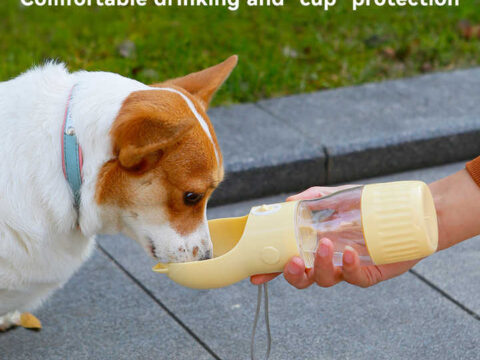 Wholesale Portable Pet Water Bottle With Food Container Reusable Water Dispenser Promotional 300ml Dog Water Bottles