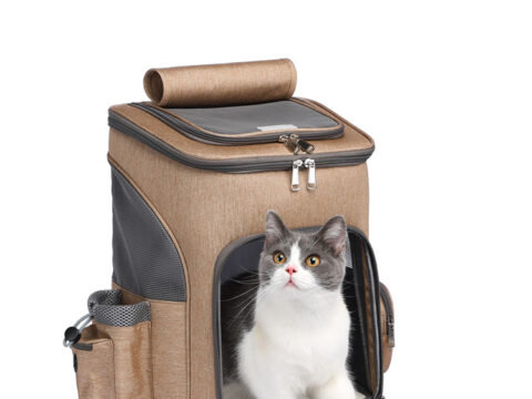 Premium Detachable Portable Pet Carrier Backpack with Spinner Wheels