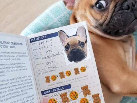 Premium Customized Novelty Passports for Fandom, Pets, and Anniversaries