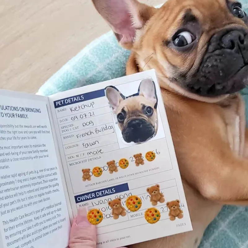Premium Customized Novelty Passports for Fandom, Pets, and Anniversaries