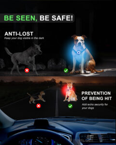 Newest Plastic Cherry Shape IPX6 Waterproof LED Dog Light
