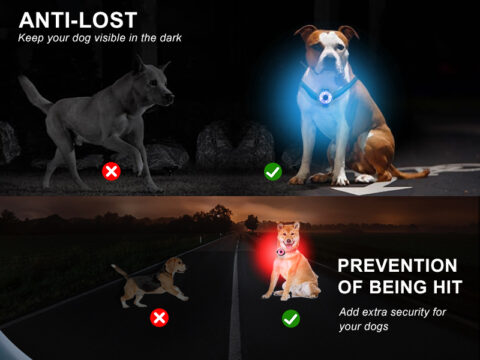 Newest Plastic Cherry Shape IPX6 Waterproof LED Dog Light