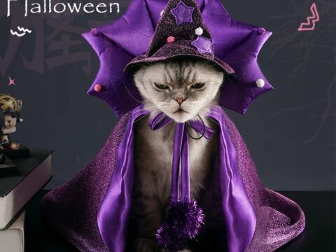 Halloween Pet Costume Cloak and Hat – Violet Wizard Cape Set for Cats & Small Dogs