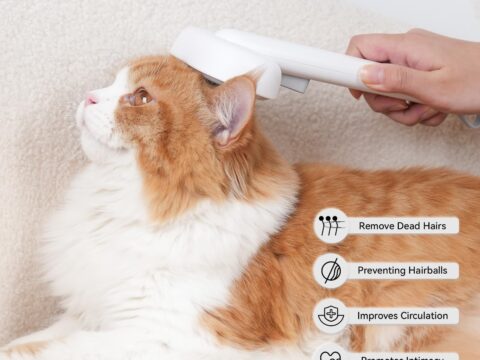 Cat Brush With Release Button – Professional Pet Grooming Brush for Indoor Cats Shedding, Deshedding, Massage & Daily Coat Care