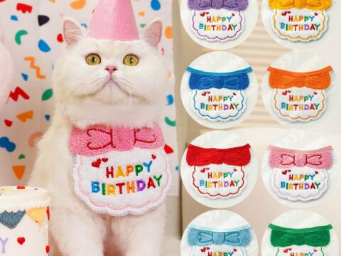 Cat Birthday Bandana Scarf Embroidered Bib and Party Hat for Cat Birthday Celebrations