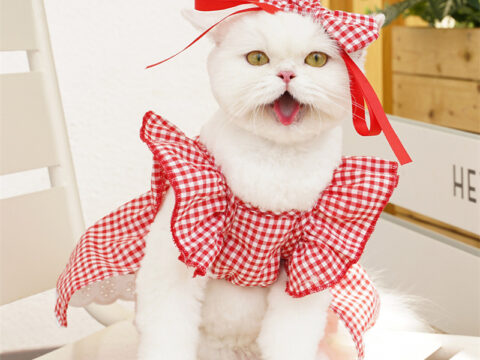 Pet Clothes Cat Dress Spring/Summer Style Floral & Gingham Pattern for Teddy, Bichon, Corgi, Puppy & Cat | Wholesale Pet Apparel Manufacturer