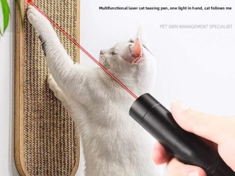 OEM Rechargeable LED UV Light for Pet Urine Detection and Cat Lichen Inspection