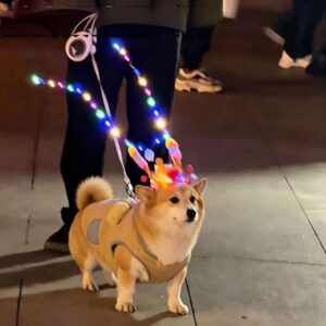 LED Pet Crown Headpiece for Cats & Dogs – Rechargeable Luminous Pet Costume Accessory for Photos, Parties, Night Walks & Social Media