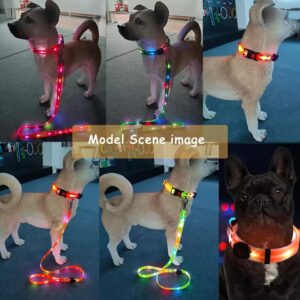 New Adjustable Waterproof LED Dog Collar & Leash – USB Rechargeable Luminous Pet Safety Gear for Night Walking