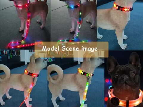 New Adjustable Waterproof LED Dog Collar & Leash – USB Rechargeable Luminous Pet Safety Gear for Night Walking