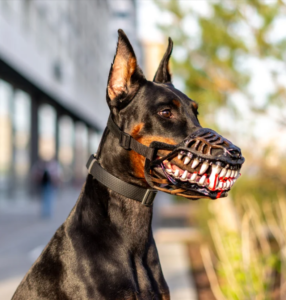 Funny Aggressive Dog Muzzle for Large Dogs – Breathable Plastic Safety Muzzle with Scary Teeth Design, Adjustable Nylon Strap, OEM Pet Costume Accessory Wholesale