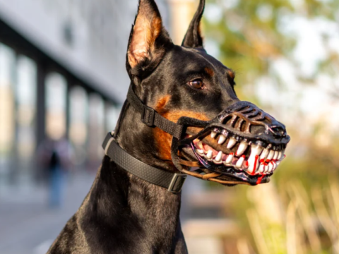 Funny Aggressive Dog Muzzle for Large Dogs – Breathable Plastic Safety Muzzle with Scary Teeth Design, Adjustable Nylon Strap, OEM Pet Costume Accessory Wholesale