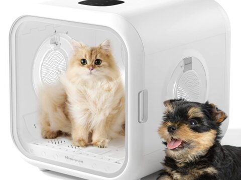 Fully Automatic Eco-Friendly ABS Pet Hair Dryer Box 62L Silent Blower for Dogs & Cats | Professional Grooming Equipment Supplier