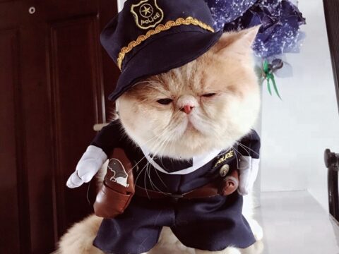 Funny Dark Blue Pet Policeman Costume Uniform Style – Cute Cosplay Dog Clothes & Cat Costumes Wholesale