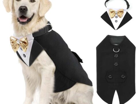 New Pet Cloth Resistant Dog Costume Wedding Attire Coat Decorative Wear Party Suit Jacket Collar Set – OEM Wholesale Pet Apparel for Dogs