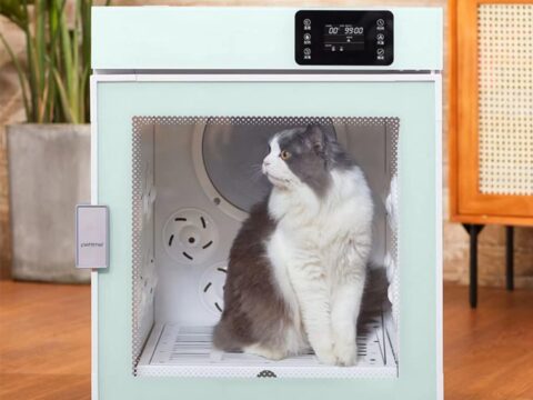 Smart Automatic Pet Grooming Blower Drying Box – Cartoon Style ABS Hair Dryer Machine for Cats & Dogs