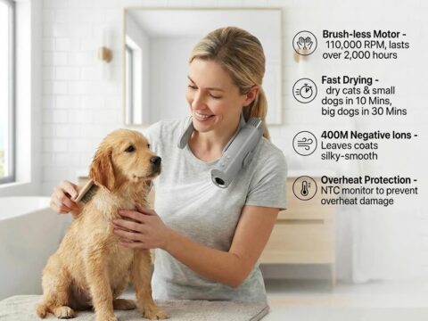 110,000 RPM High-Speed Brushless Pet Hair Dryer Blower 1000W for Dogs & Cats – Professional Grooming Equipment for Wholesale & OEM