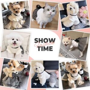 Luxury Pet Dog Dress Bow Skirt Summer Spring Vintage Puppy Teddy Bichon Pomeranian Cat Outfit Small Dog Couple Matching Clothes