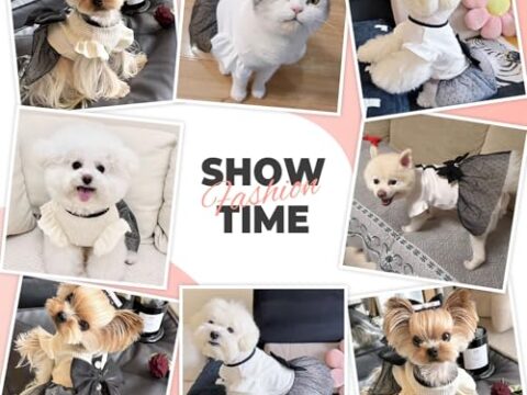 Luxury Pet Dog Dress Bow Skirt Summer Spring Vintage Puppy Teddy Bichon Pomeranian Cat Outfit Small Dog Couple Matching Clothes