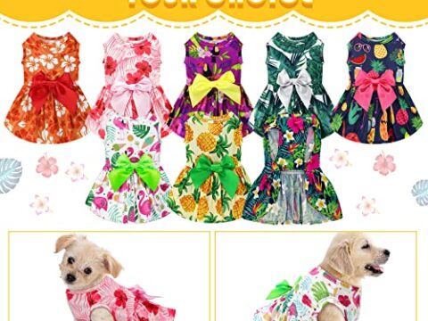 CuteBone Puppy Sundress Pet Outfit Summer Dog Mesh Dress Fashion Design for Small Dogs & Girl Cats