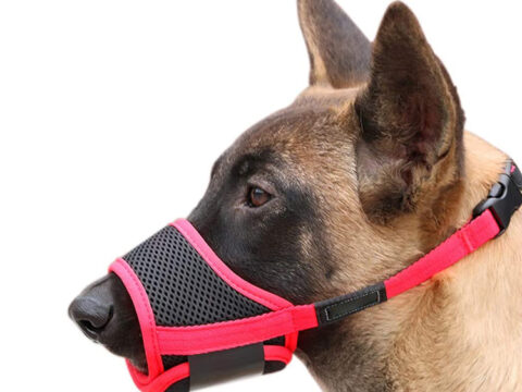 High Quality Custom Promotional Adjustable Barking Mask Pet Muzzle Protector Breathable Dog Mouth Cover for Wholesale & OEM