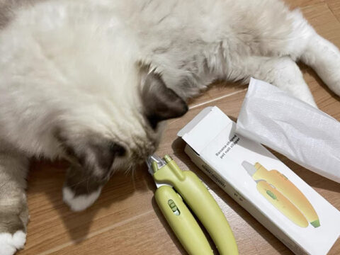 OEM ODM Custom Logo 3-In-1 LED Blood Line Light Pet Nail Clipper with Nail Grinder for Dogs & Cats