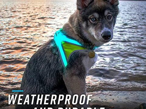 LightHound Light Up Reflective Dog Harness – 360° LED Fiber Optic Safety Harness with 8 Colors & 6 Lighting Modes, USB Rechargeable, Adjustable Rainproof Design for Wholesale Pet Supply Business