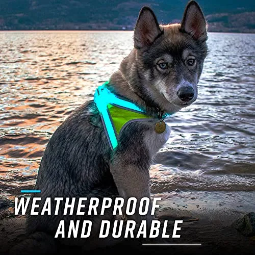 LightHound Light Up Reflective Dog Harness – 360° LED Fiber Optic Safety Harness with 8 Colors & 6 Lighting Modes, USB Rechargeable, Adjustable Rainproof Design for Wholesale Pet Supply Business