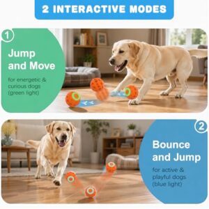 Interactive Dog Toy Ball – Motion Activated Rechargeable Automatic Moving Ball with LED Lights for Dogs