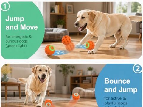 Interactive Dog Toy Ball – Motion Activated Rechargeable Automatic Moving Ball with LED Lights for Dogs