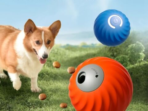 Pet Gravitational Electric Eco-Friendly Leakage Ball – Intelligent Interactive Dog Molar Toy with Fruit Pattern Design