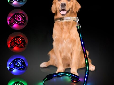 4 Ft LED Dog Leash with 12 Lighting Modes – Wholesale Rechargeable Glow Safety Leash for Dogs