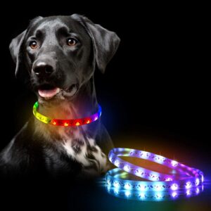 Glow in The Dark LED Dog Collar 2 Pack – USB-C Rechargeable RGB Light Up Dog Safety Collar for Night Walking