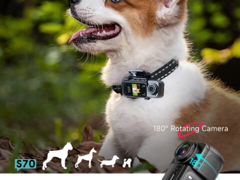 Pet Chest Strap Harness Camera Mount for S70 & S80 Thumb Action Cameras – OEM Private Mold Pet POV Recording Harness for Dogs & Cats